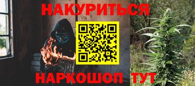 прущие грибы Шахты
