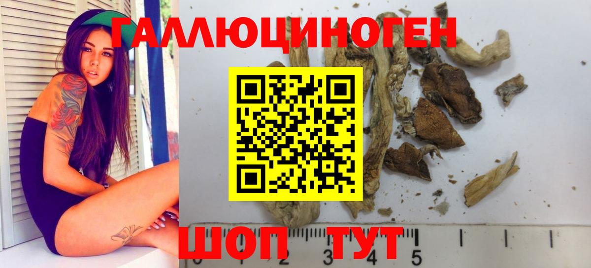 Галлюциногенные грибы мухоморы Удомля